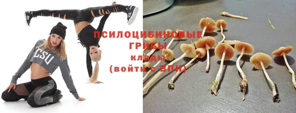 мяу мяу мука Алексин