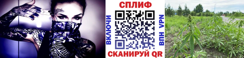 как найти наркотики  нарко площадка Telegram  МАРИХУАНА OG Kush  Павловская 